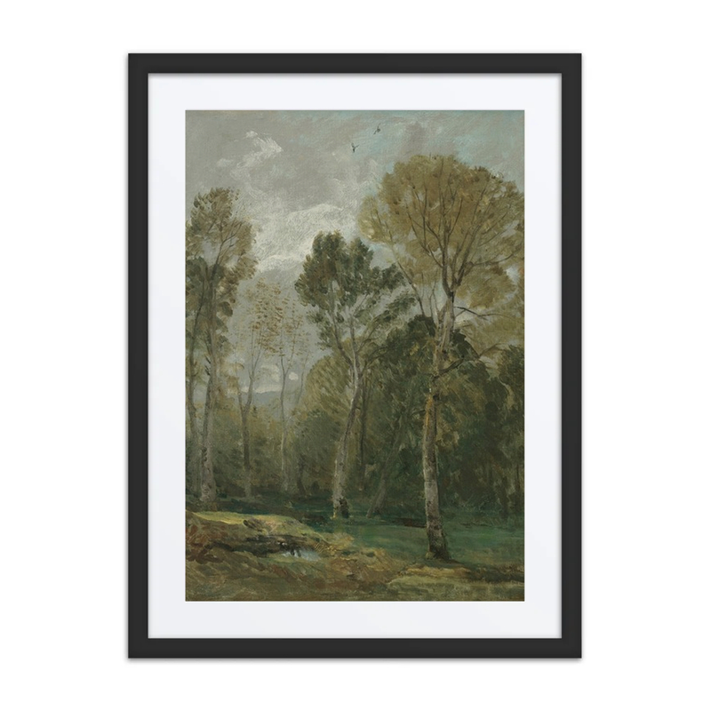 View of a Copse