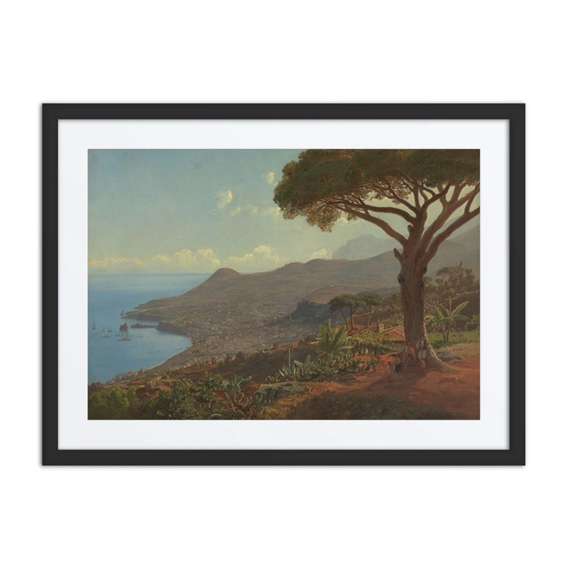 View of Funchal on Madeira