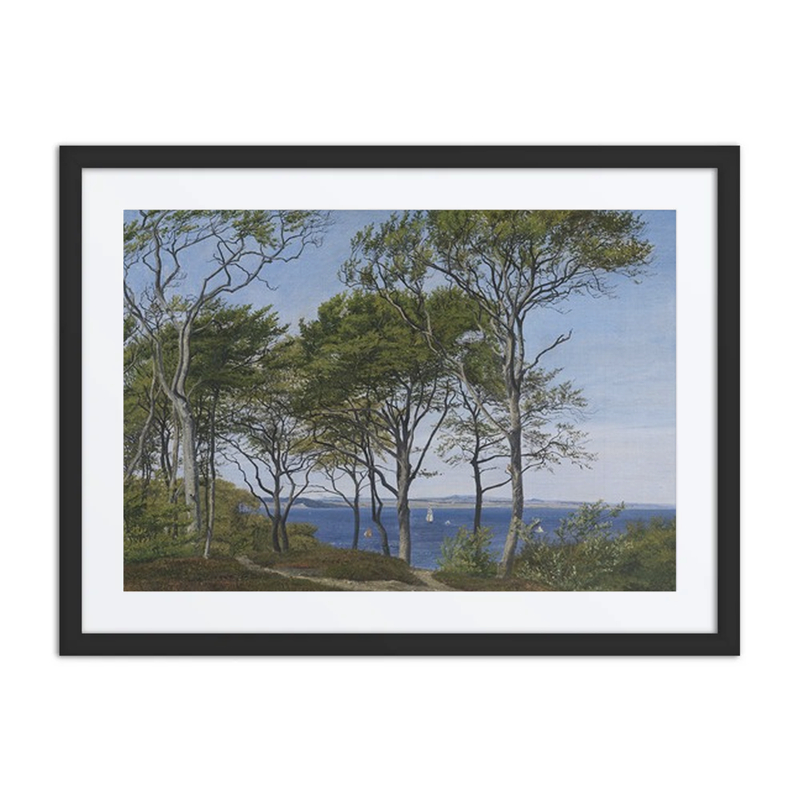 View Through Beech Trees Across a Fiord