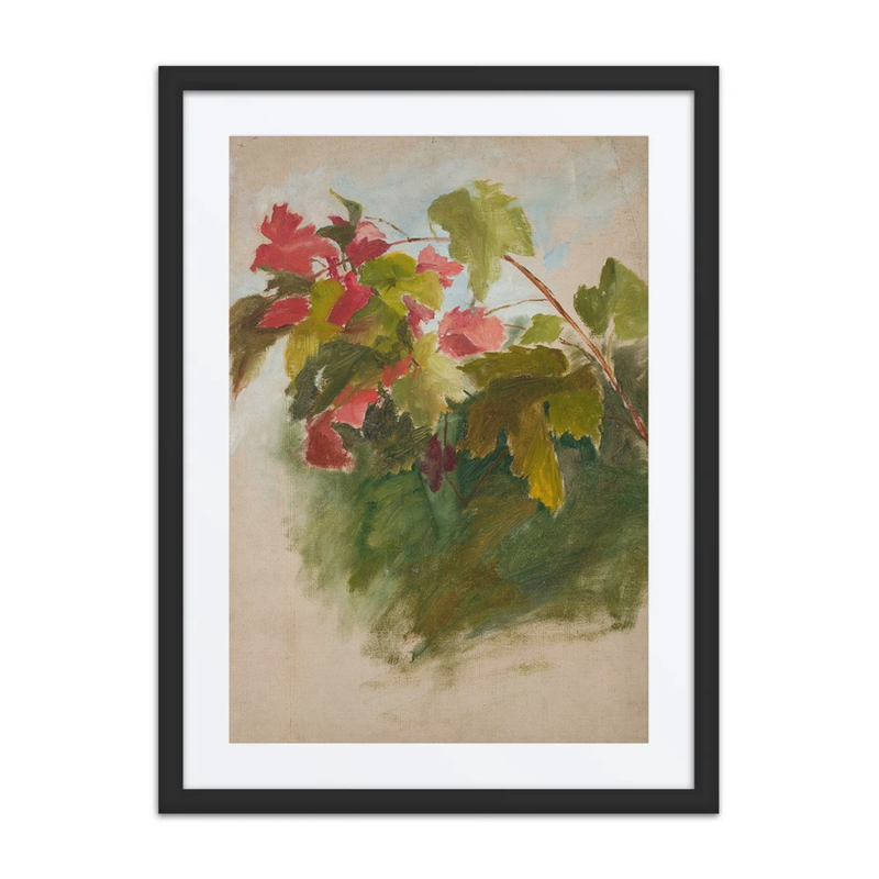 Vine Leaves