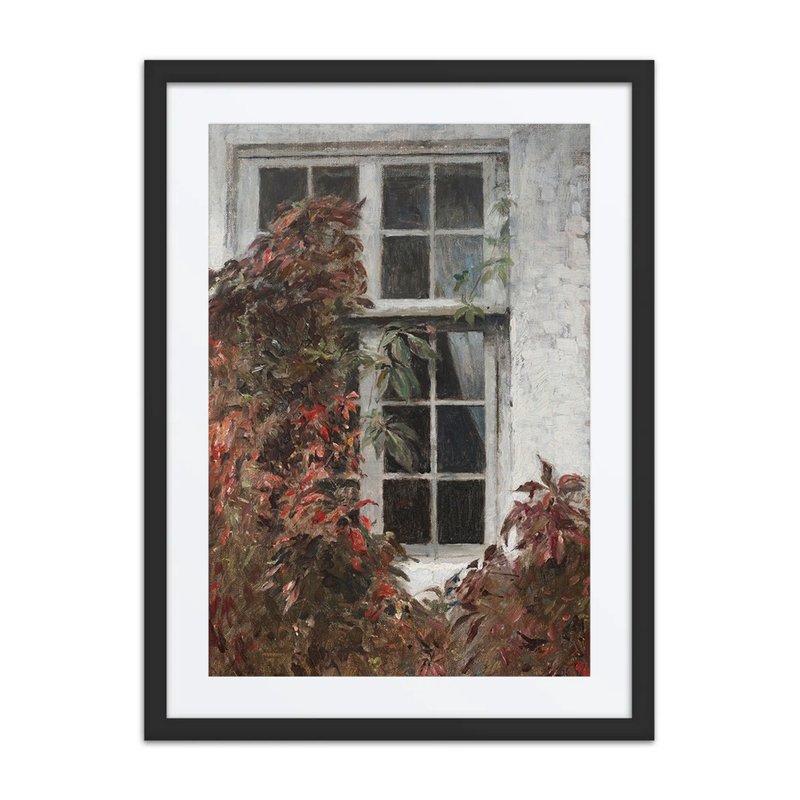 Virginia Creeper Around a Window at Liselund