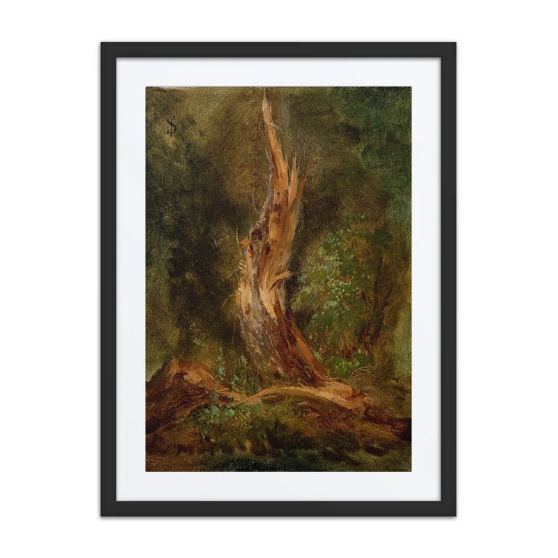 Volhynian Forest