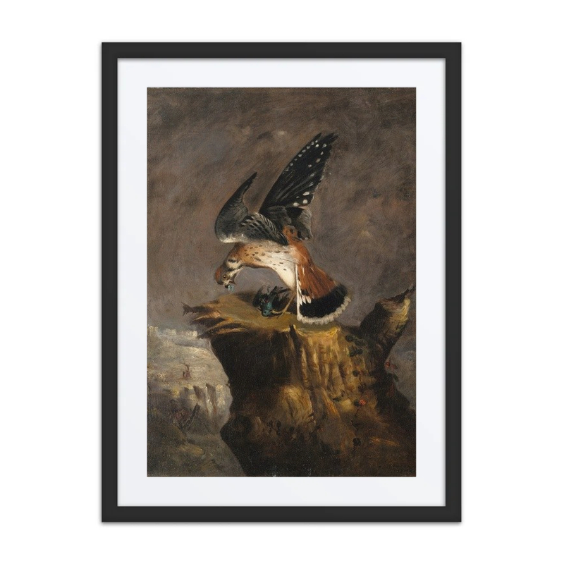 Vulture and Its Prey