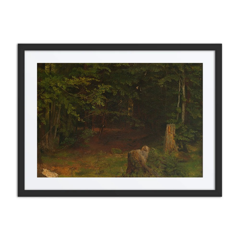 Waldinneres (Forest Interior)