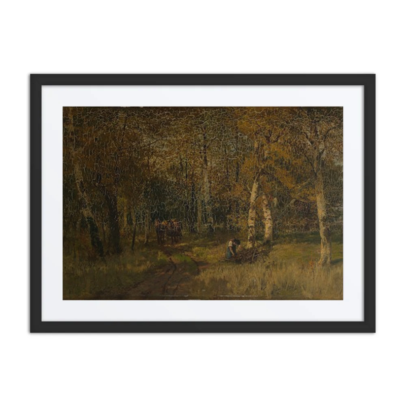 Waldinneres Im Herbst