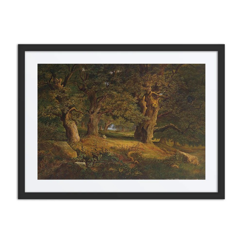 Waldlandschaft