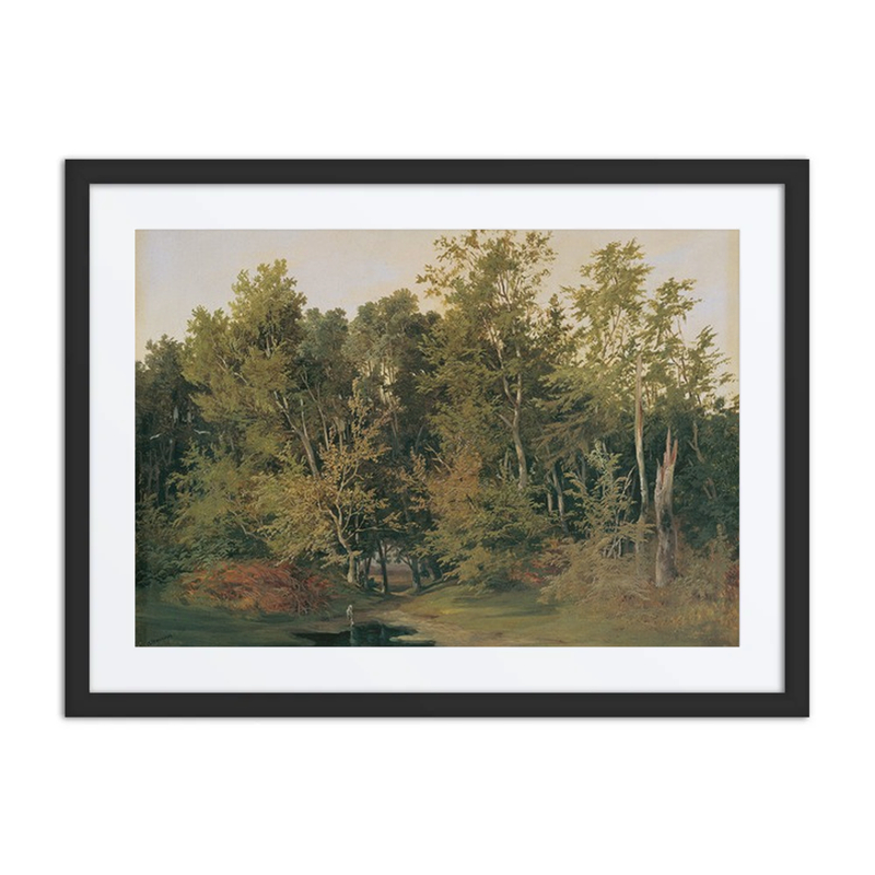 Waldlandschaft in Niederösterreich