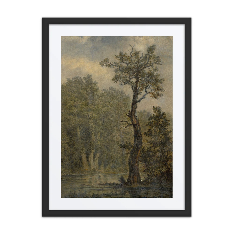 Waldlandschaft (Landscape Study)