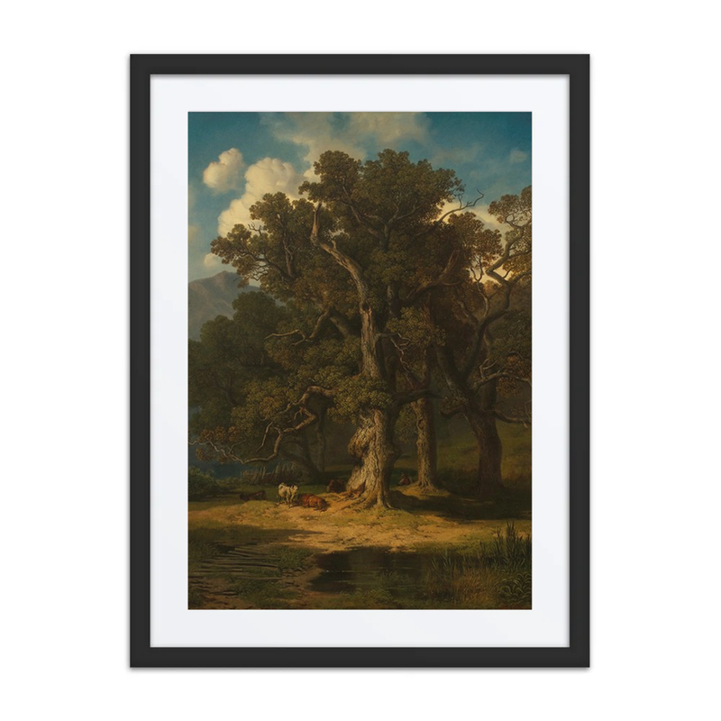 Waldlandschaft