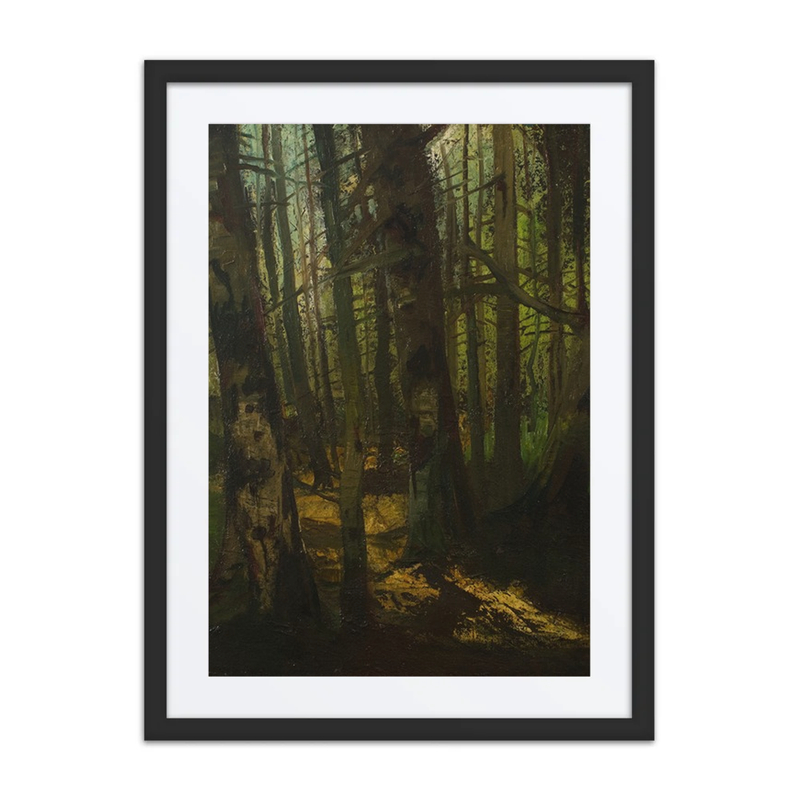Waldlichtung