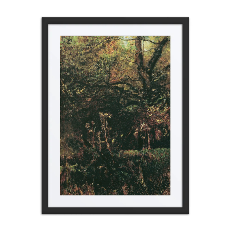 Waldlichtung Mit Disteln