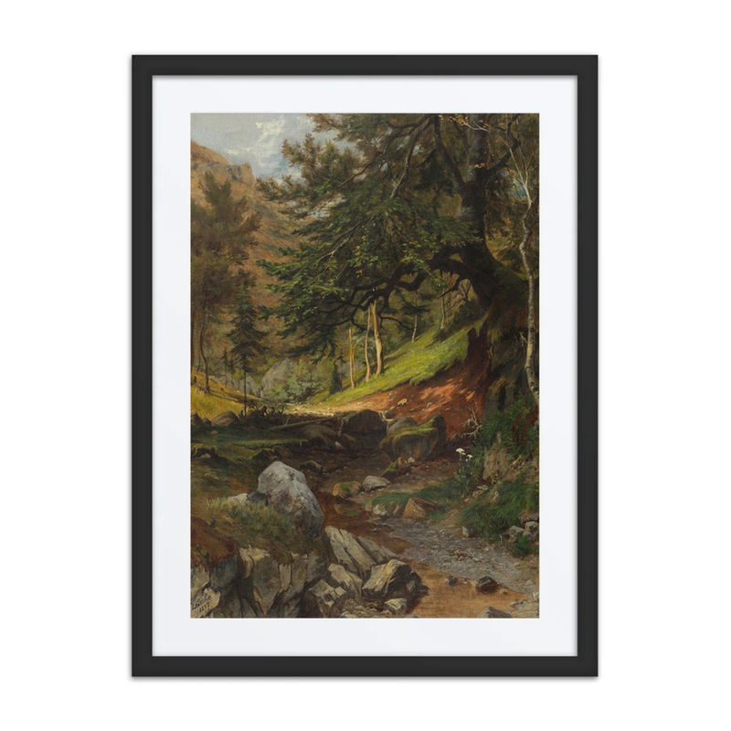 Waldpartie Mit Bachlauf