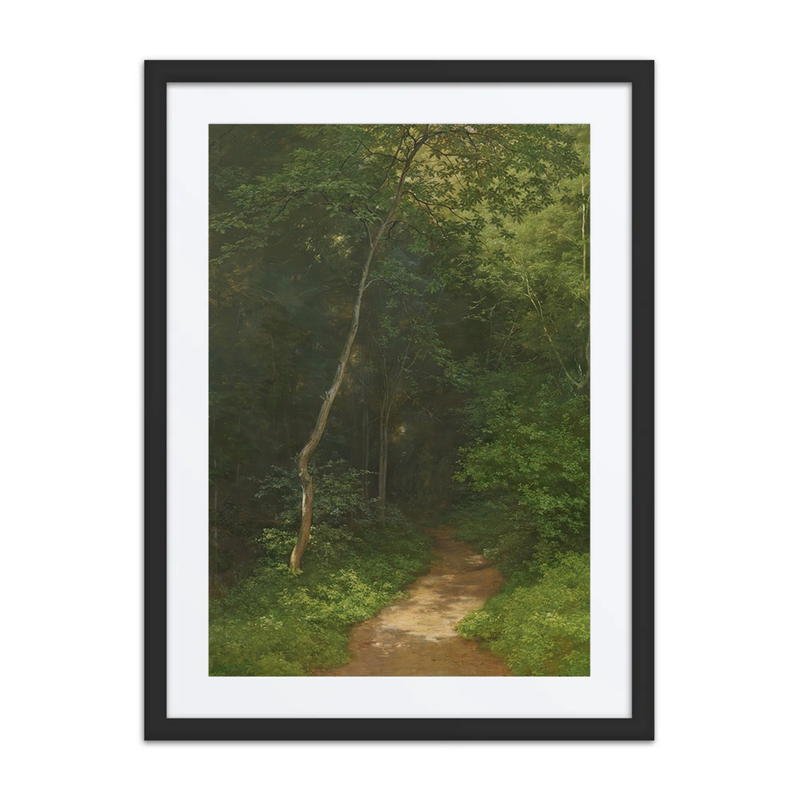 Waldweg (Forest Track)