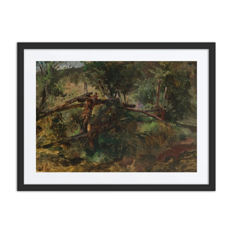 Waldweg Mit Zaun