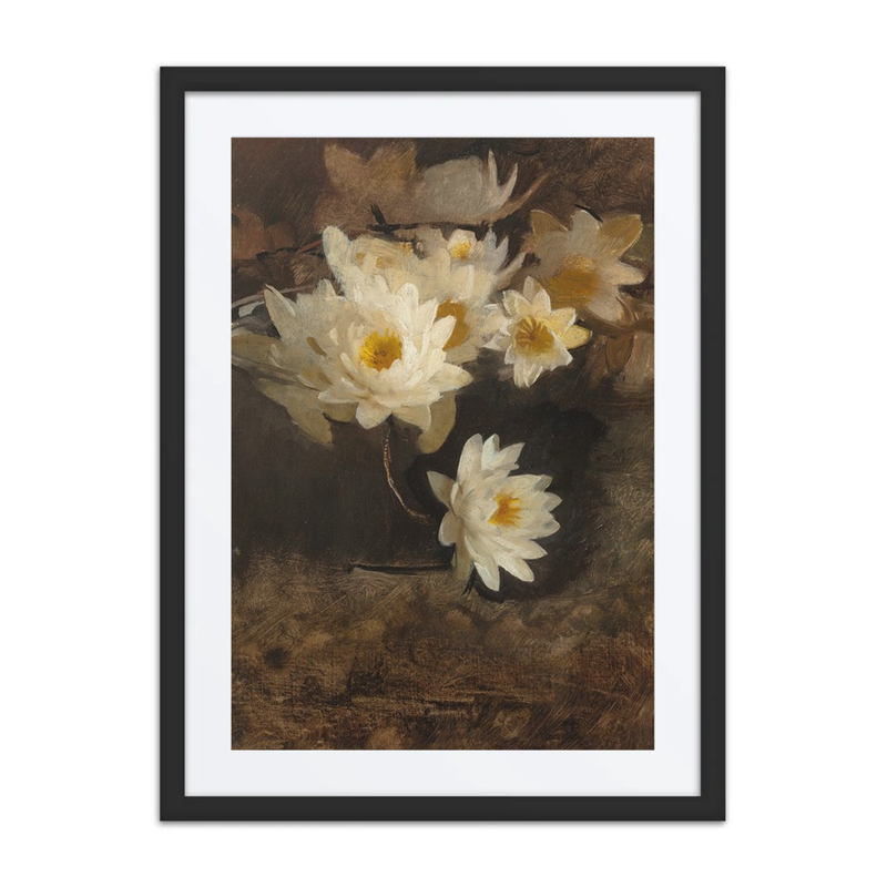 Water Lilies