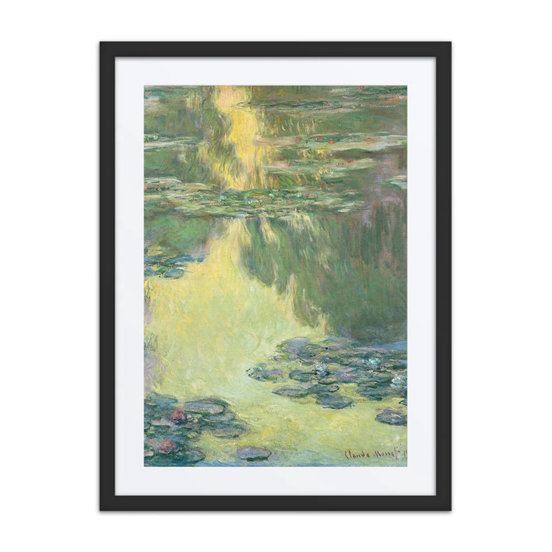 Water Lilies