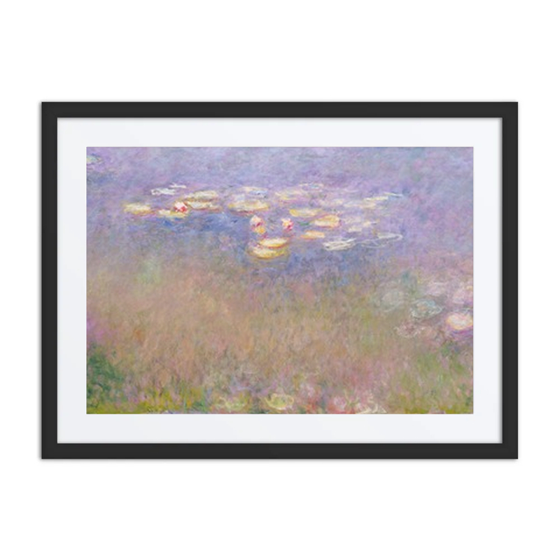 Water Lilies