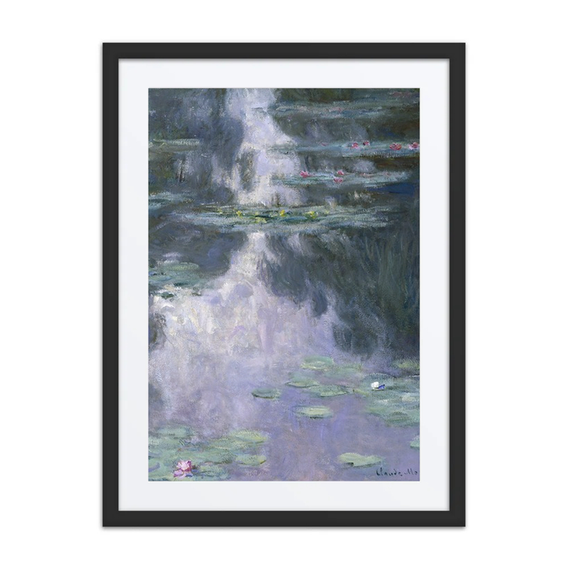Water Lilies