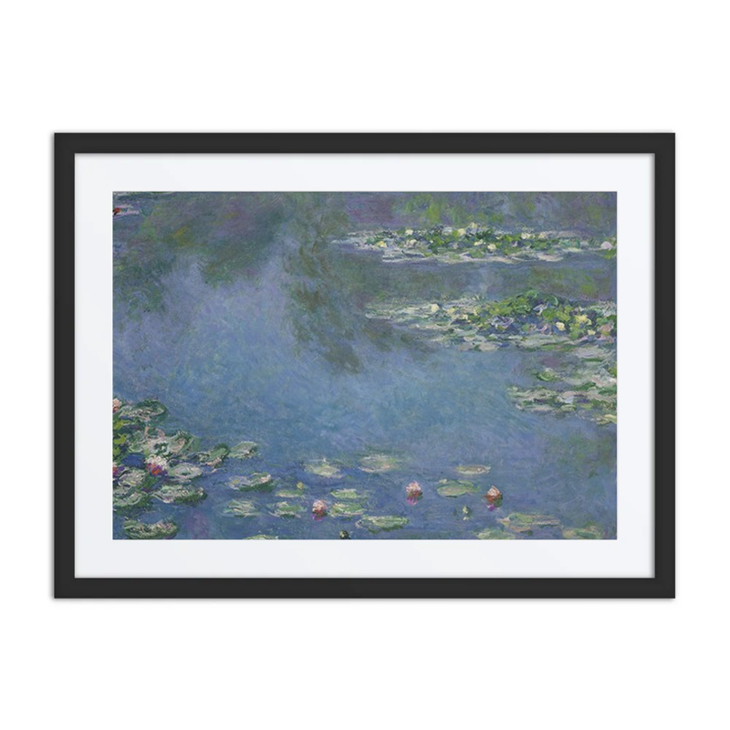 Water Lilies