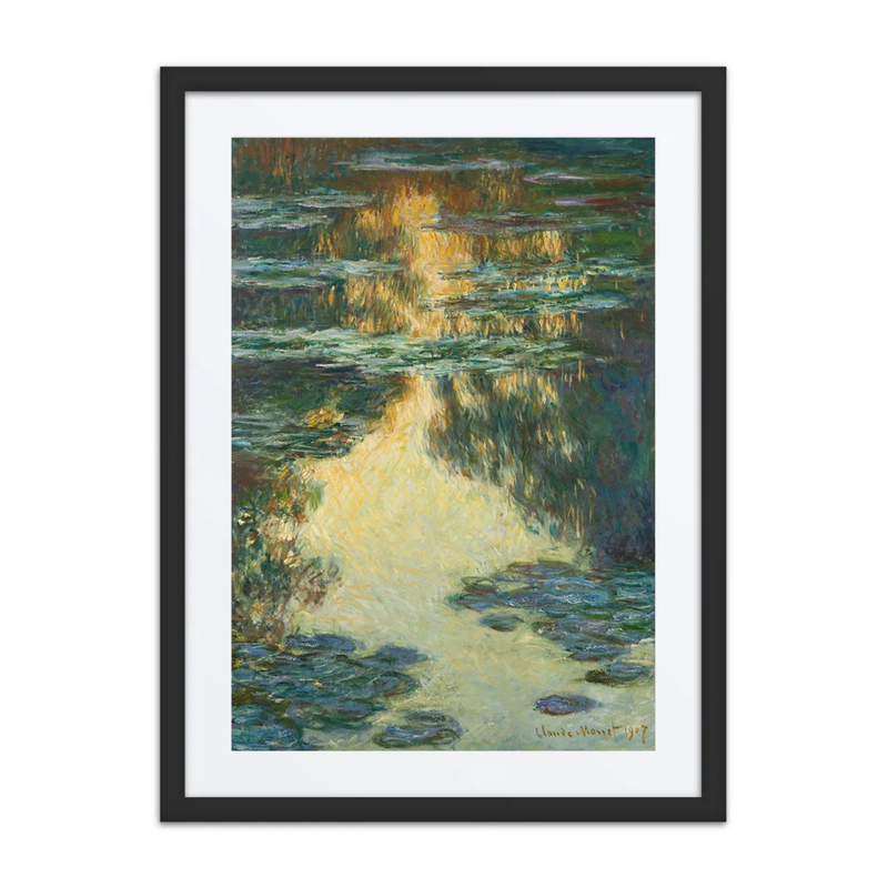 Water Lilies