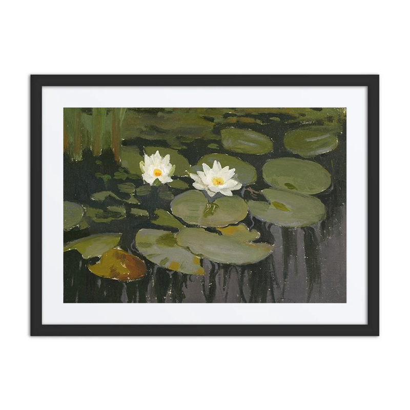Water Lilies