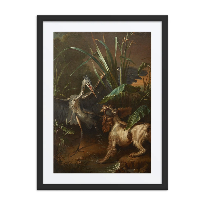 Water Spaniel Confronting a Heron