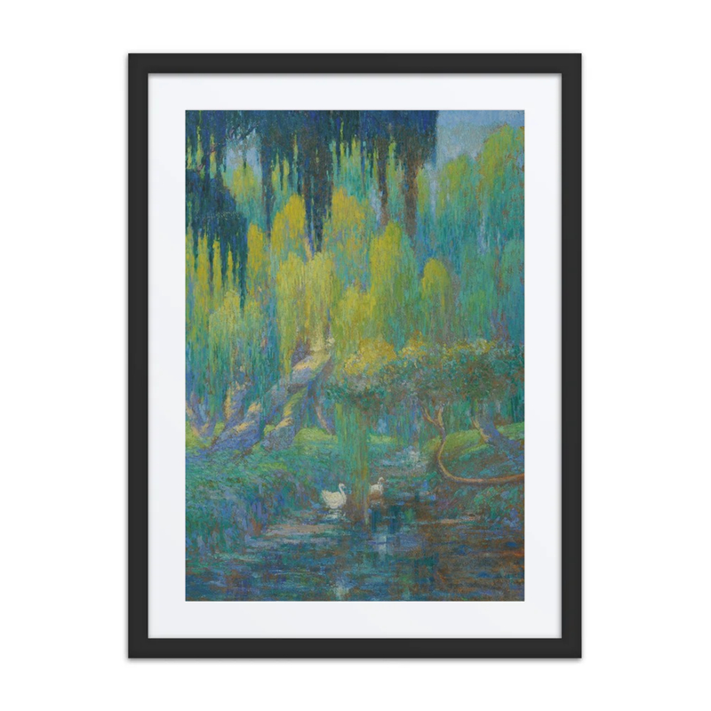 Weeping Willows and Swans