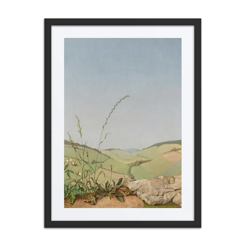 Weite Landschaft Im Frühling