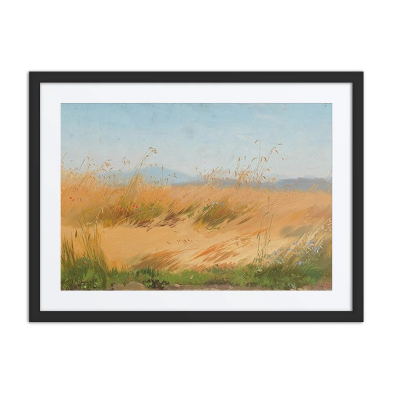 Wheat Field Oil Study