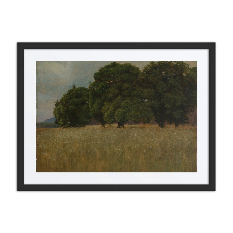 Wheat Field with Deciduous Trees