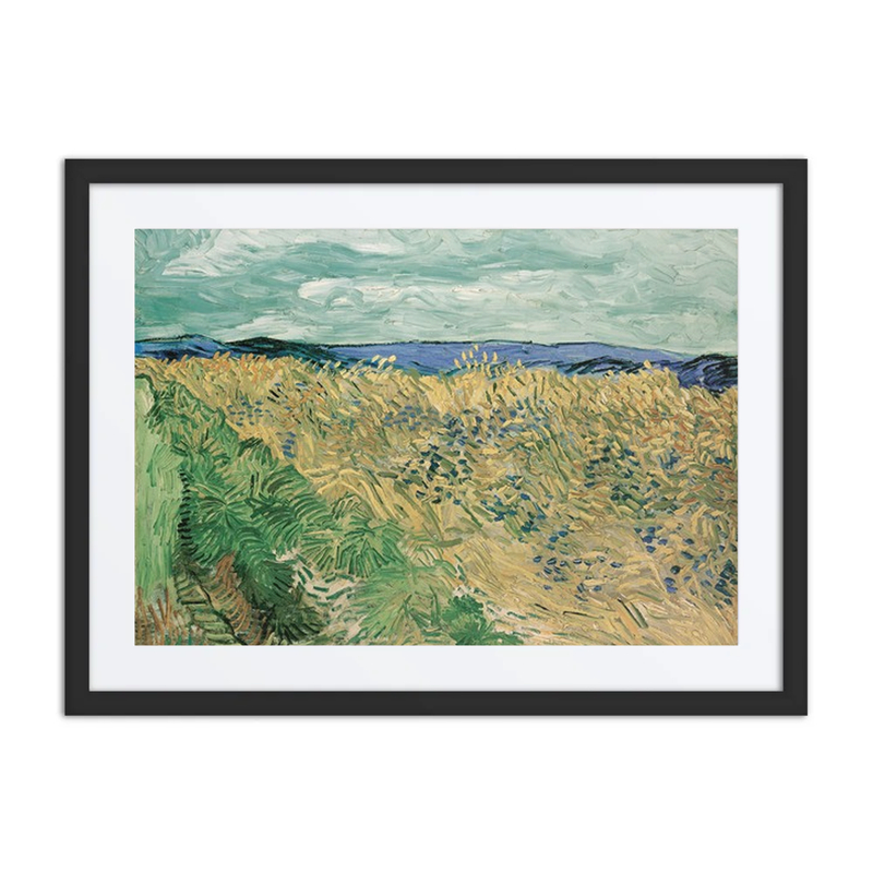 Wheatfield with Cornflowers