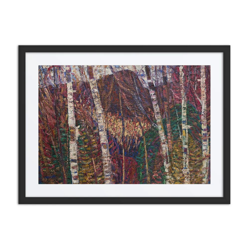 White Birches