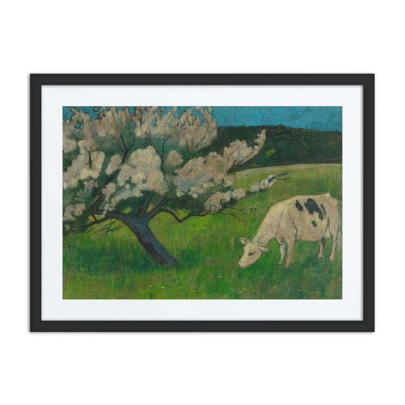 White Cow