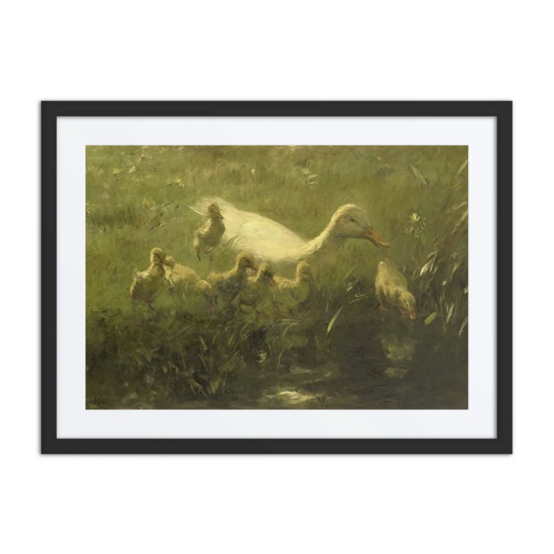 White Duck with Ducklings