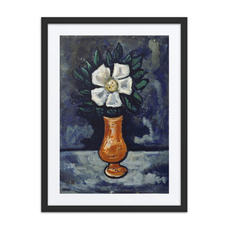 White Flower