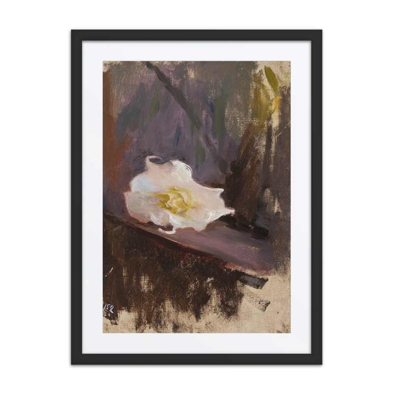 White Flower Study