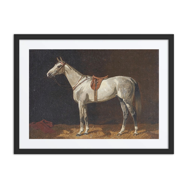 White Horse in a Stable