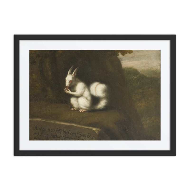 White Squirrel in a Landscape