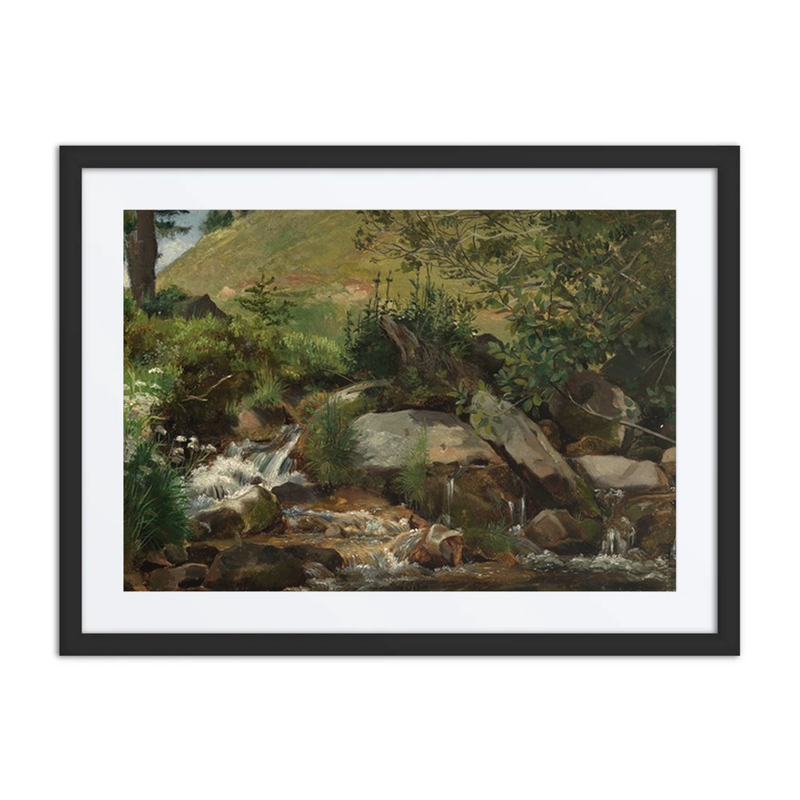 Wiesenbach Mit Gebüsch Und Gräsern