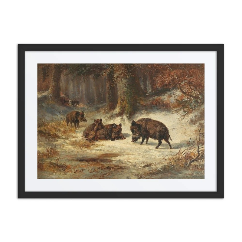 Wild Boars in a Wintry Forest