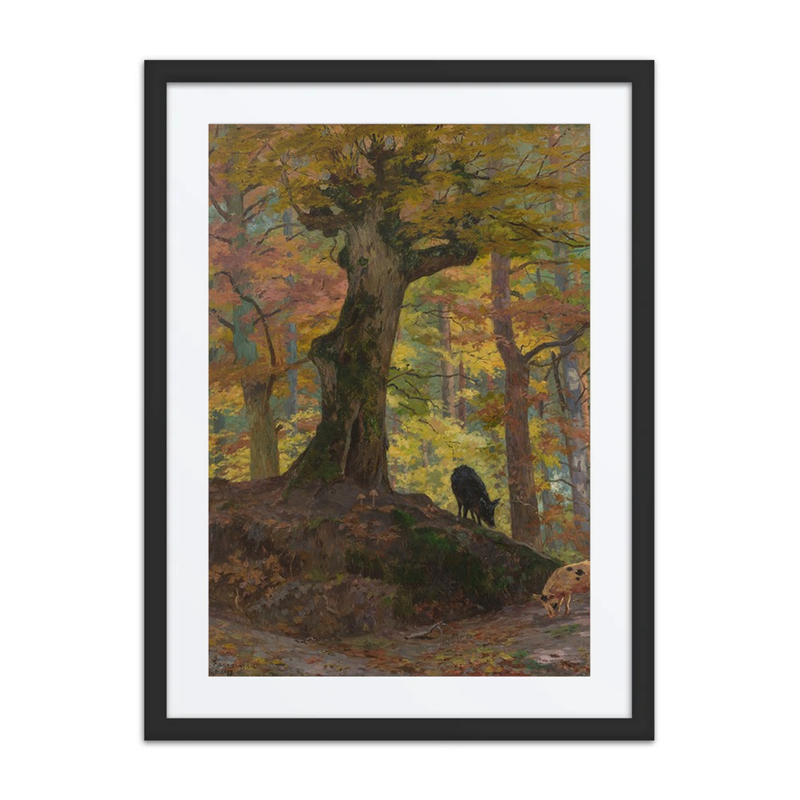 Wild Boars in Autumn Forest