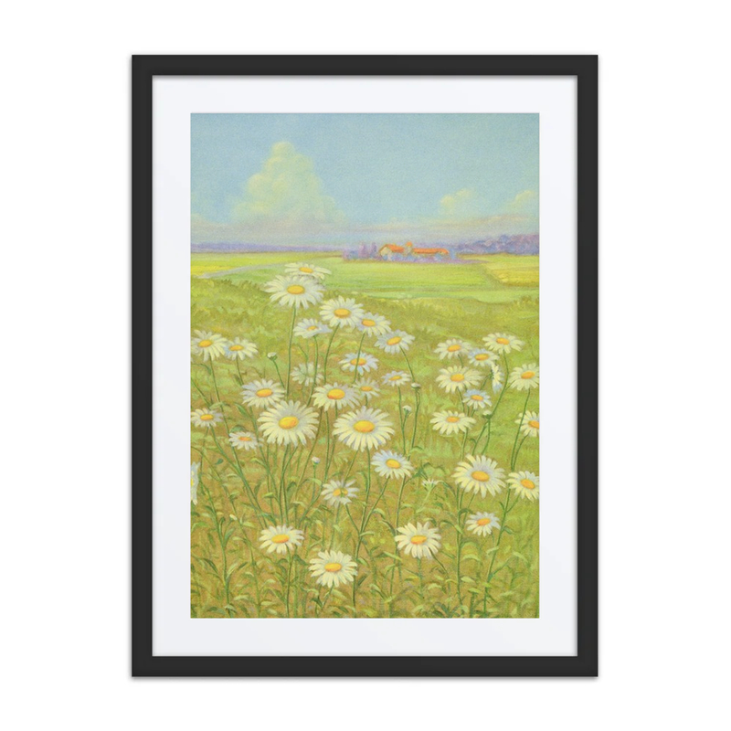 Wild Daisy