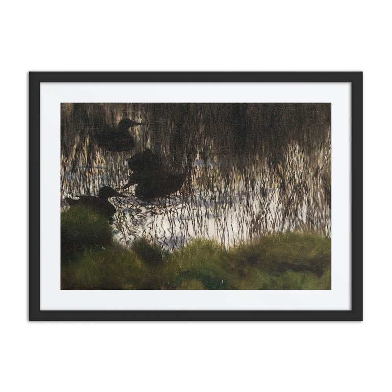 Wild Ducks in Reeds