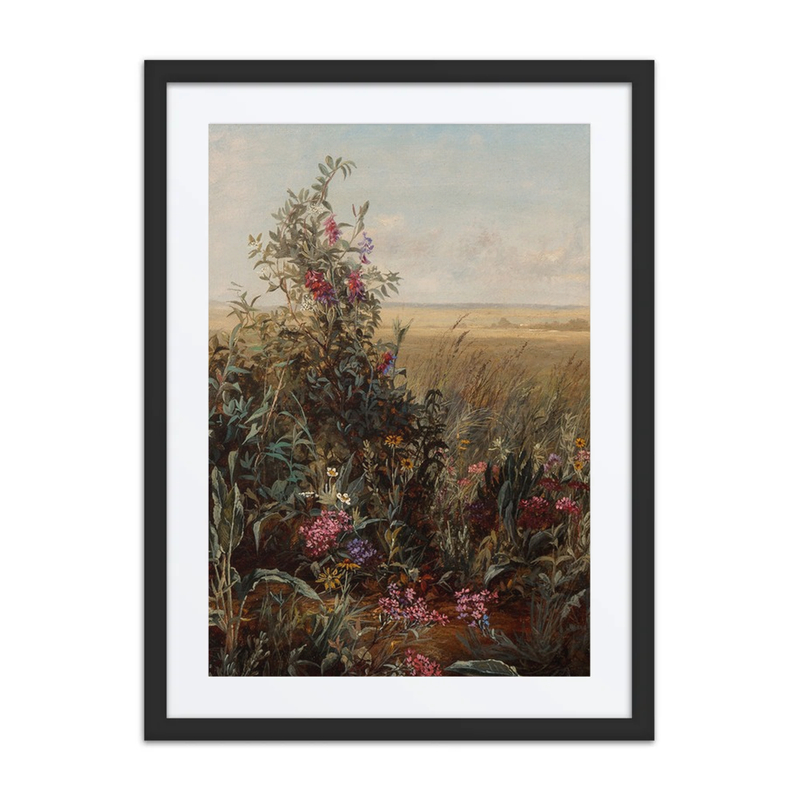 Wild Flowers