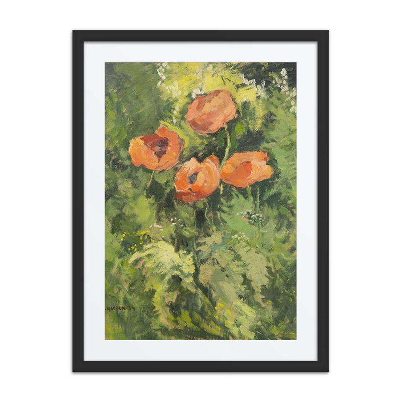 Wild Poppies