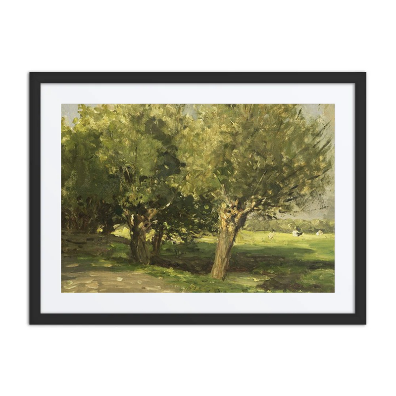 Wilgebomen