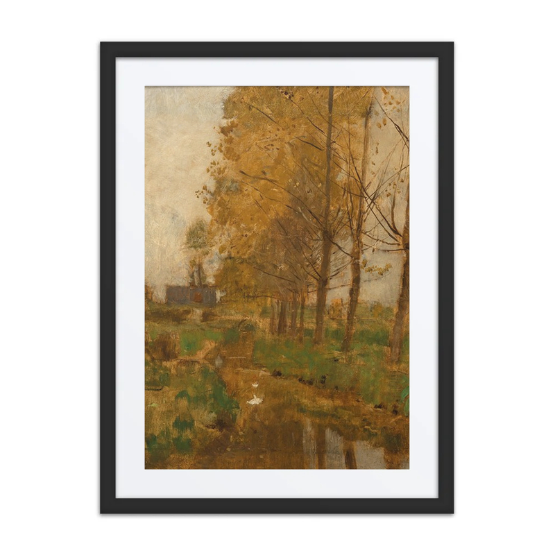 Willow Trees, Autumn Landscape