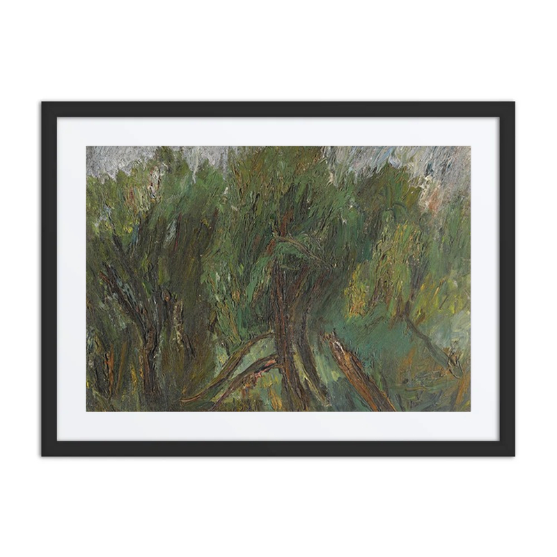 Willows. Altai