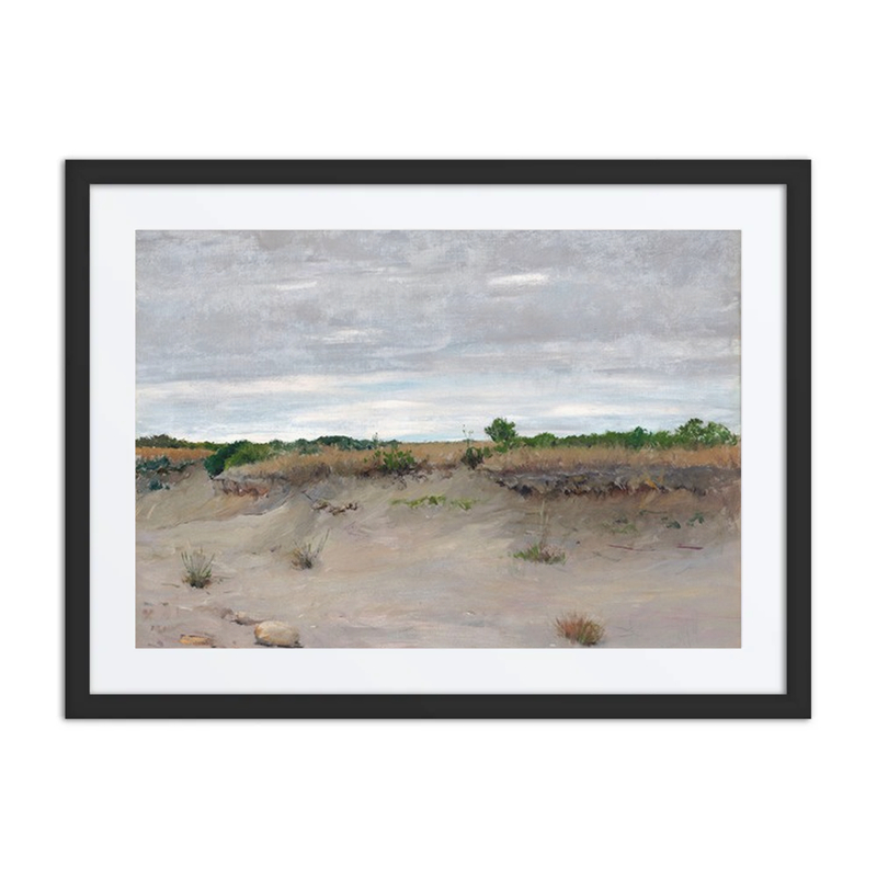 Wind-Swept Sands