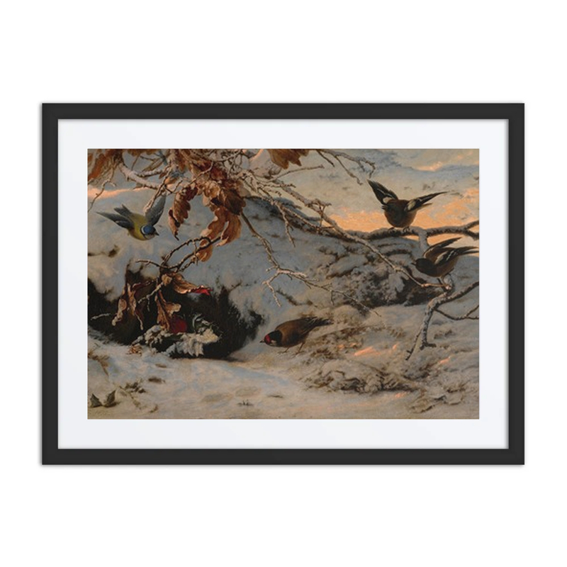 Winter Birds